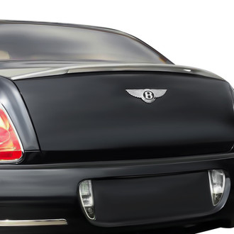 D2S® - lineaTesoro Style Carbon Fiber Medium Rear Wing