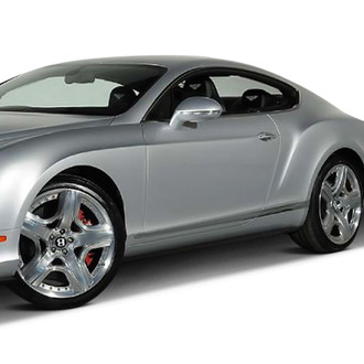 D2S® - OE Style Carbon Fiber Side Skirt Set