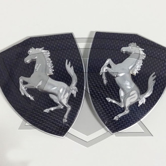 D2S® - Carbon Fiber Fender Shields Set