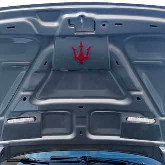 D2S® - MC Sport Style Carbon Fiber Vented Hood