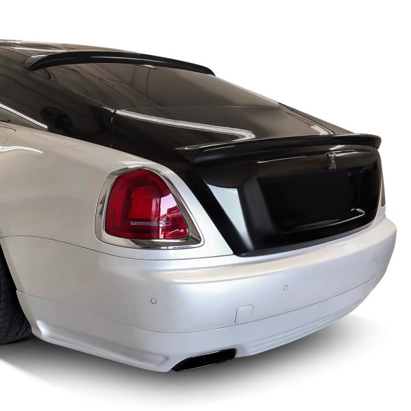 D2S® - Luxe-GT Style Carbon Fiber Rear Bumper Skirt with Side Fins