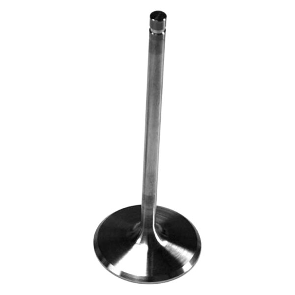 Dart® - Severe-Duty ™ Intake Valve