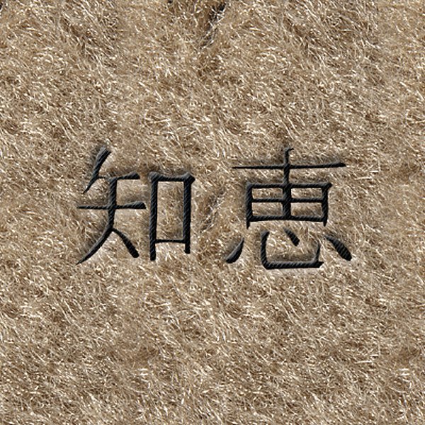 DashMat® - Embroidery "Kanji Wisdom" Black Logo