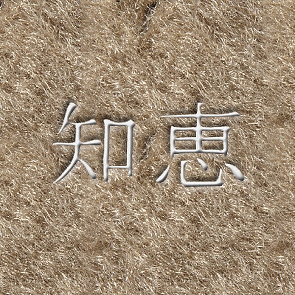 DashMat® - Embroidery "Kanji Wisdom" White Logo