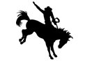 Rodeo 4