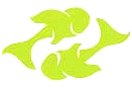 Lime Fish