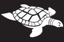 Turtle 2