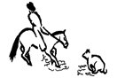 Cat and Horse