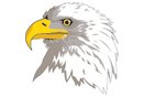 Eagle 4