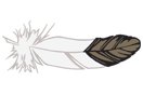 Feather