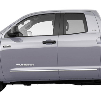 Dawn® - Chrome Body Side Moldings