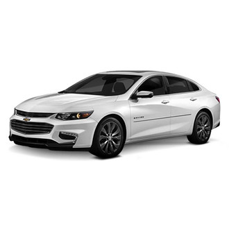 Dawn® - Chrome Body Side Molding