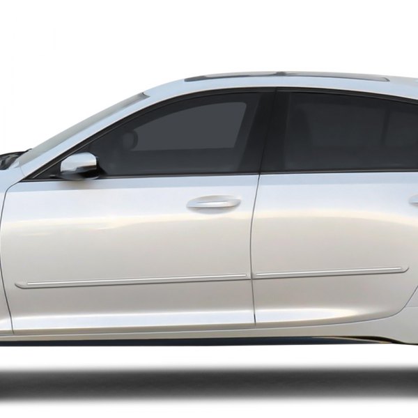 Dawn® CFCT520 1.25" Wide Body Side Moldings with Chrome Insert