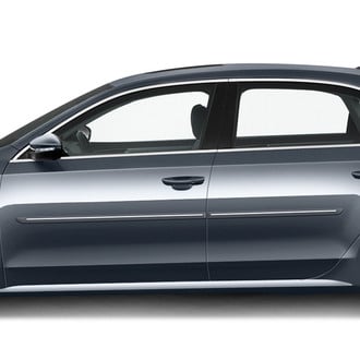 Dawn® - 1.25" Wide Body Side Moldings with Chrome Insert (Painted)