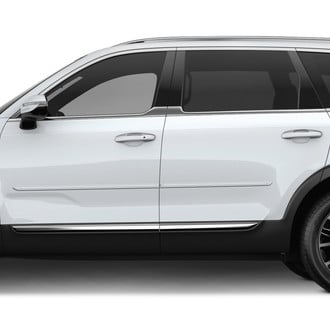 Dawn® - 1.25" Wide Body Side Moldings with Chrome Insert (Painted)