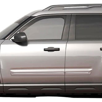 Dawn® - 2.5" Wide Body Side Moldings with Chrome Insert (Painted)