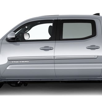 Dawn® - 2.5" Wide Body Side Moldings with Chrome Insert (Painted)