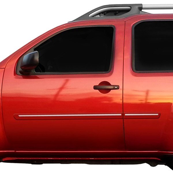 Dawn® - 2.5" Wide Body Side Moldings with Chrome Insert