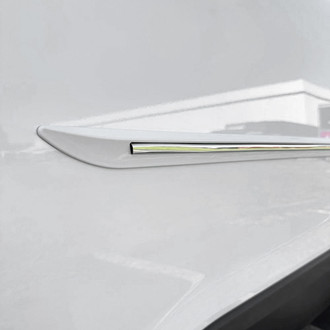 Dawn® - Body Side Moldings