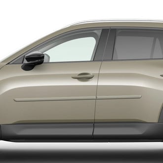 Dawn® - 1.25" Wide Body Side Moldings with Color Insert (Painted)
