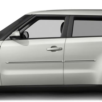 Dawn® - 1.25" Wide Body Side Moldings with Color Insert (Painted)