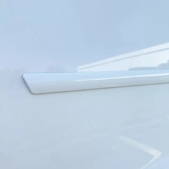 Dawn® - Body Side Moldings