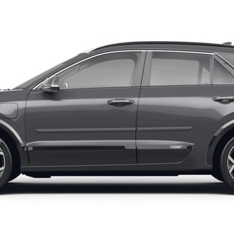 Dawn® - Body Side Moldings