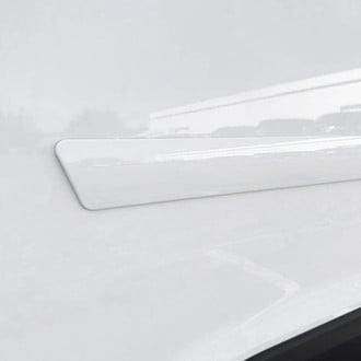 Dawn® - Body Side Moldings
