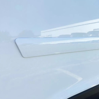 Dawn® - Body Side Moldings