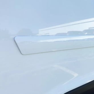 Dawn® - Body Side Moldings