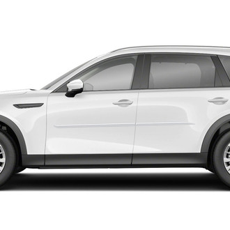 Dawn® - Body Side Moldings