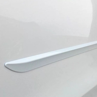 Dawn® - Body Side Moldings