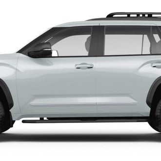 Dawn® - Body Side Moldings
