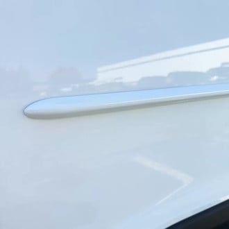 Dawn® - Body Side Moldings