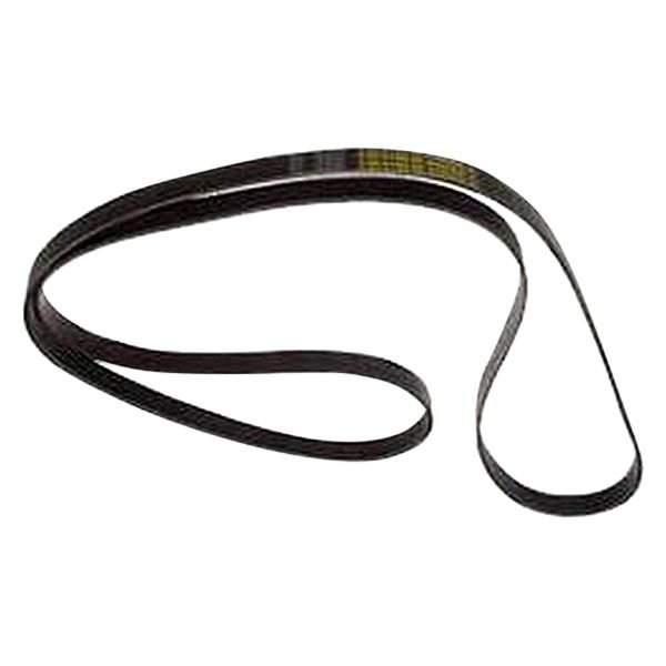 Dayco® - GOLD Label™ Belt