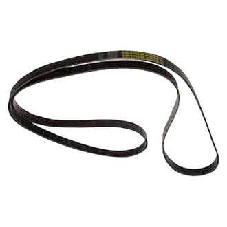 Dayco® - GOLD Label™ Poly Rib Heavy Duty Belt