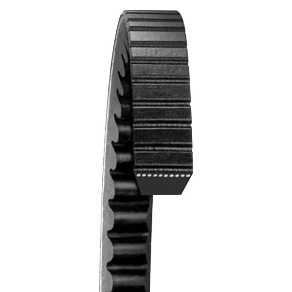 Dayco® - Top Cog™ GOLD Label™ V-Belt