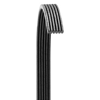 Dayco® - Gold Label™ Serpentine Belt