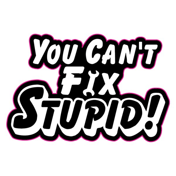 Decalcomania® - You Cant Fix Stupid Decals