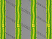 FOUR WIDE GROOVES