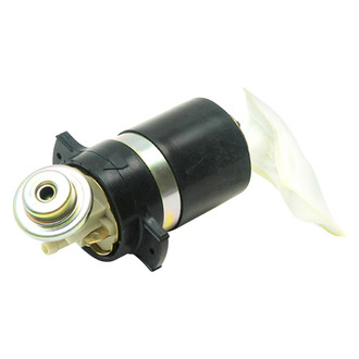 Delphi® - Fuel Pump and Strainer Set