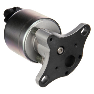 Delphi® - EGR Valve