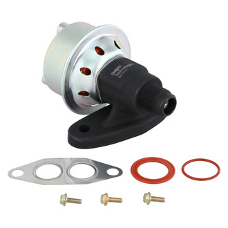Delphi® - EGR Valve