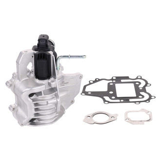 Delphi® - EGR Valve