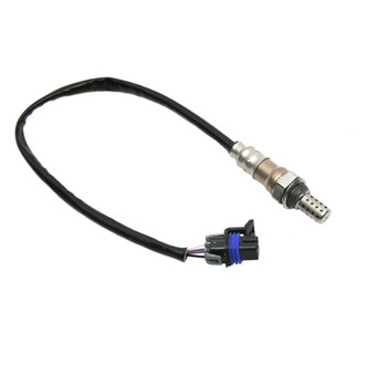 Delphi® - Oxygen Sensor