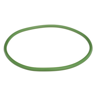 Delphi® - Fuel Pump Tank Seal