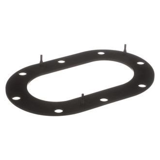 Delphi® - Fuel Pump Tank Seal