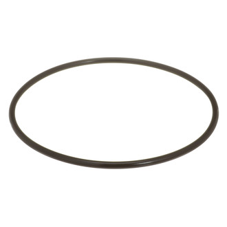 Delphi® - Fuel Pump Tank Seal