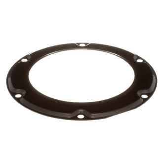 Delphi® - Fuel Tank Lock Ring