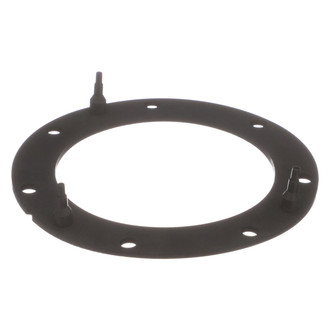 Delphi® - Fuel Pump Tank Seal